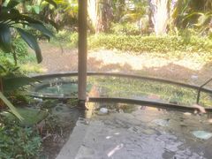 -碧桂园润杨溪谷温泉酒店