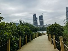 -华侨城湿地公园