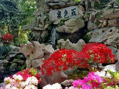 -上海醉白池公园