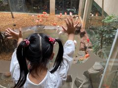 -麒麟中餐厅·经典粤菜·地道菜式老字号(广州长隆酒店)
