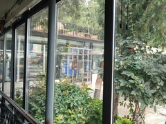 -蘇河湾·新鲁菜·泰山宴(泰山店)