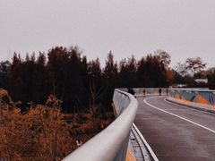 -白鹭湾湿地公园