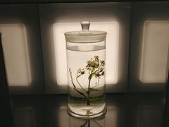 -黑龙江中医药大学