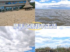 -哈素海