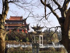 -冶父山国家森林公园