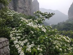 -雁荡山风景名胜区