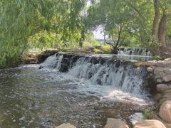 -长白岛森林公园