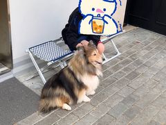 -安福路