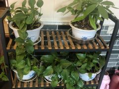 -灵福缘私房菜·农家菜(拈花湾·灵山大佛必推店)