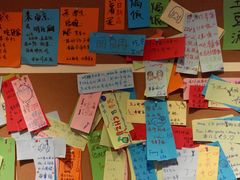 -志龙皇冠吃货椰子铺