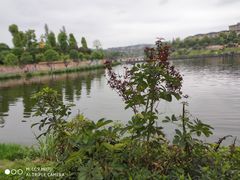 -枫香湖儿童公园