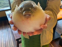 -永安鱼庄·镇江菜(丁卯店)