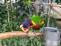 -南宫五洲植物乐园