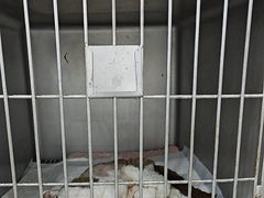 -派特宠物医院(圆融广场店)