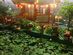 -枇杷园食为鲜火锅(南山店)