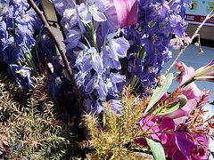 -欣旺·迎宾楼·百年无锡菜