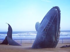 -烟台金沙滩海滨公园