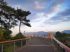 -金鸡山公园