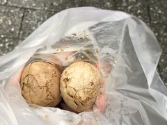 -日月潭