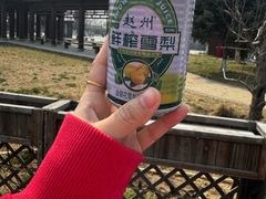 -赵州桥景区