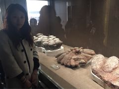 恐龙博物馆-自贡恐龙博物馆