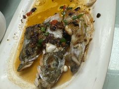 -金瑞轩大酒楼·顺德鱼生·粤菜海鲜(东江国际店)
