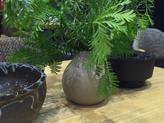 -扫雪煮茶(西村店)