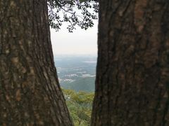 -香山公园