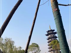 -洋湖国家湿地公园