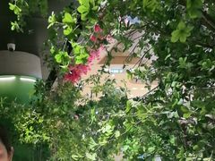 -长江路历史文化街区