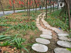 -广州市帽峰山景区