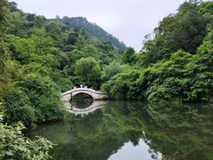 -黔灵山公园