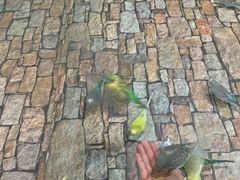 -上海大自然野生昆虫馆(东方明珠·爬宠昆虫探索中心)
