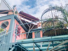 -喵屿·大理花园猫咖