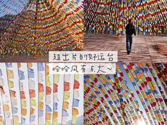 -龙湾潭国家森林公园