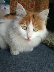 -梵初·STUDIO婚纱摄影(通州万达店)