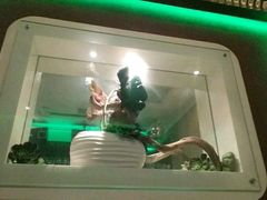 -快乐迪KTV(中山路店)