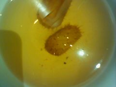 -黔蘑菇四季餐厅(观山湖店)