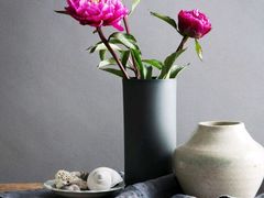 -谭氏兄弟火锅(中和店)