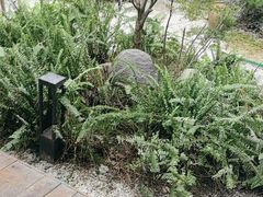 -往来·竹里.宝宝宴.生日宴.团建.宴席(花乡农居店)