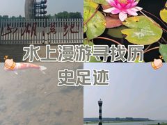 -微山湖红荷湿地景区