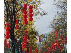 -洲头咀公园