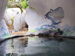 -河源客天下-温泉小镇