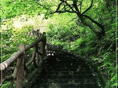 -桃花岭景区