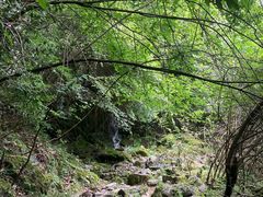 -鹿院坪生态旅游景区
