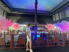 -上海环球金融中心骑迹50年环球之旅
