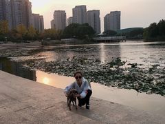 -新江湾城公园