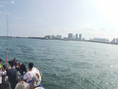 -日照灯塔风景区