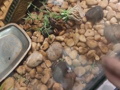 -上海昆虫博物馆