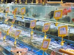 -大东海海鲜酒楼(渔人码头总店)